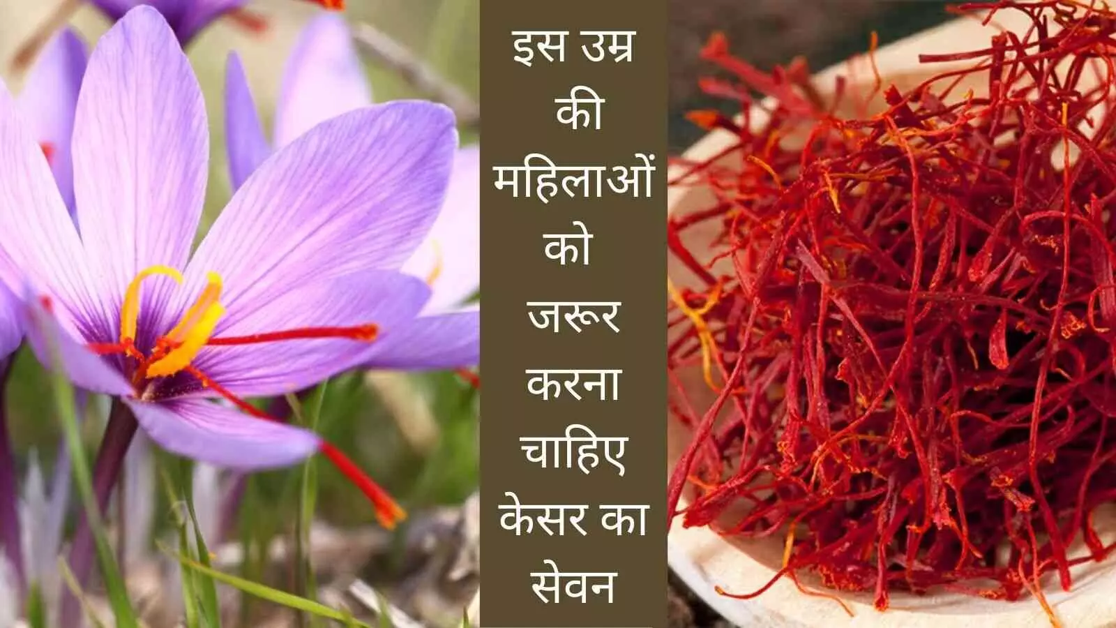 Saffron benefits women youthful energy till old age Saffron benefits women youthful energy till old age