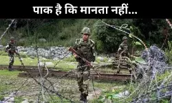 Ceasefire: कभी ठीक नहीं रही पाकिस्तान की नीयत, करगिल-संसद हमला बड़ा उदाहरण