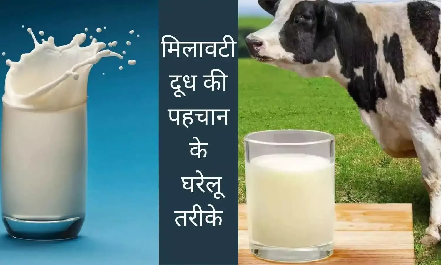 एक्सपर्ट ने बताए मिलावटी दूध की पहचान के आसान तरीके, घर में ऐसे जाचें Pure milk adulteration test