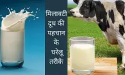 Pure milk adulteration test