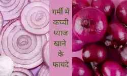 Summer health tips Onion Digestion improvement foods Hydration in summer