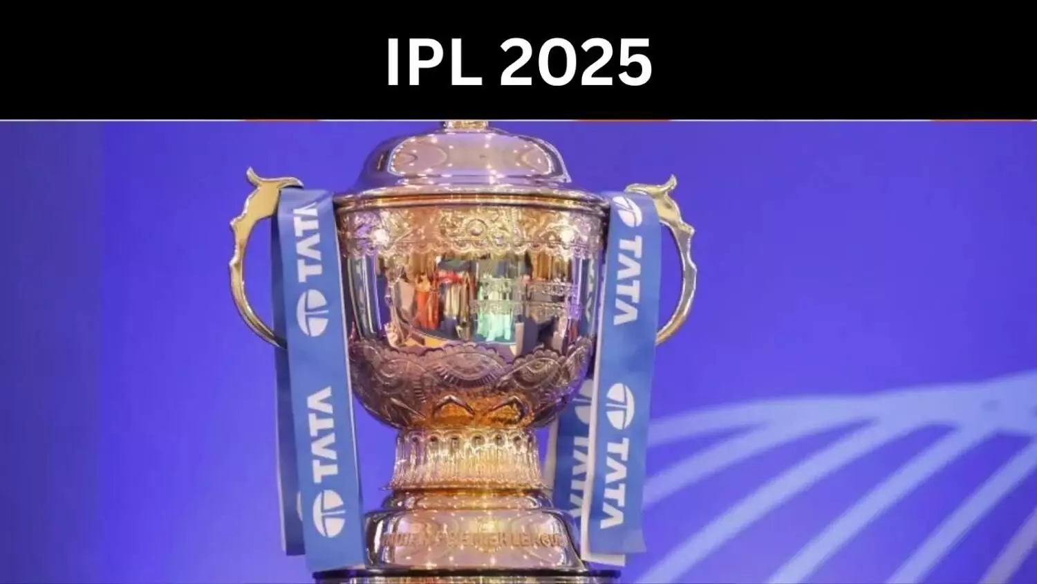 IPL 2025 में शामिल हों या नहीं, क्रिकेट ऑस्ट्रेलिया ने खिलाड़ियों पर छोड़ा IPL 2025 में शामिल हों या नहीं, क्रिकेट ऑस्ट्रेलिया ने खिलाड़ियों पर छोड़ा
