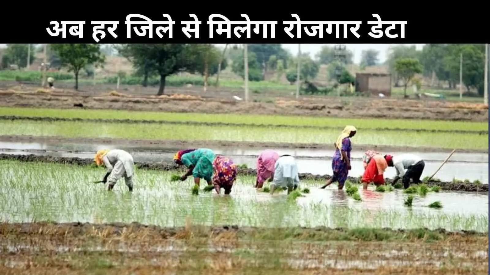ग्रामीण क्षेत्रों में भी तिमाही रोजगार आंकड़े होंगे जारी, मोदी सरकार का बड़ा फैसला ग्रामीण क्षेत्रों में भी तिमाही रोजगार आंकड़े होंगे जारी, मोदी सरकार का बड़ा फैसला