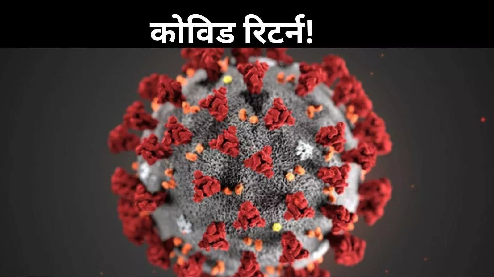एशिया में फिर कोविड वापसी? हॉन्गकॉन्ग और सिंगापुर में तेजी से लौट रहा वायरस! एशिया में फिर कोविड वापसी? हॉन्गकॉन्ग और सिंगापुर में तेजी से लौट रहा वायरस!
