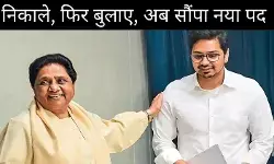 बुआ की मर्जी से ही सब कुछ! आकाश आनंद का फिर से बीएसपी में उदय