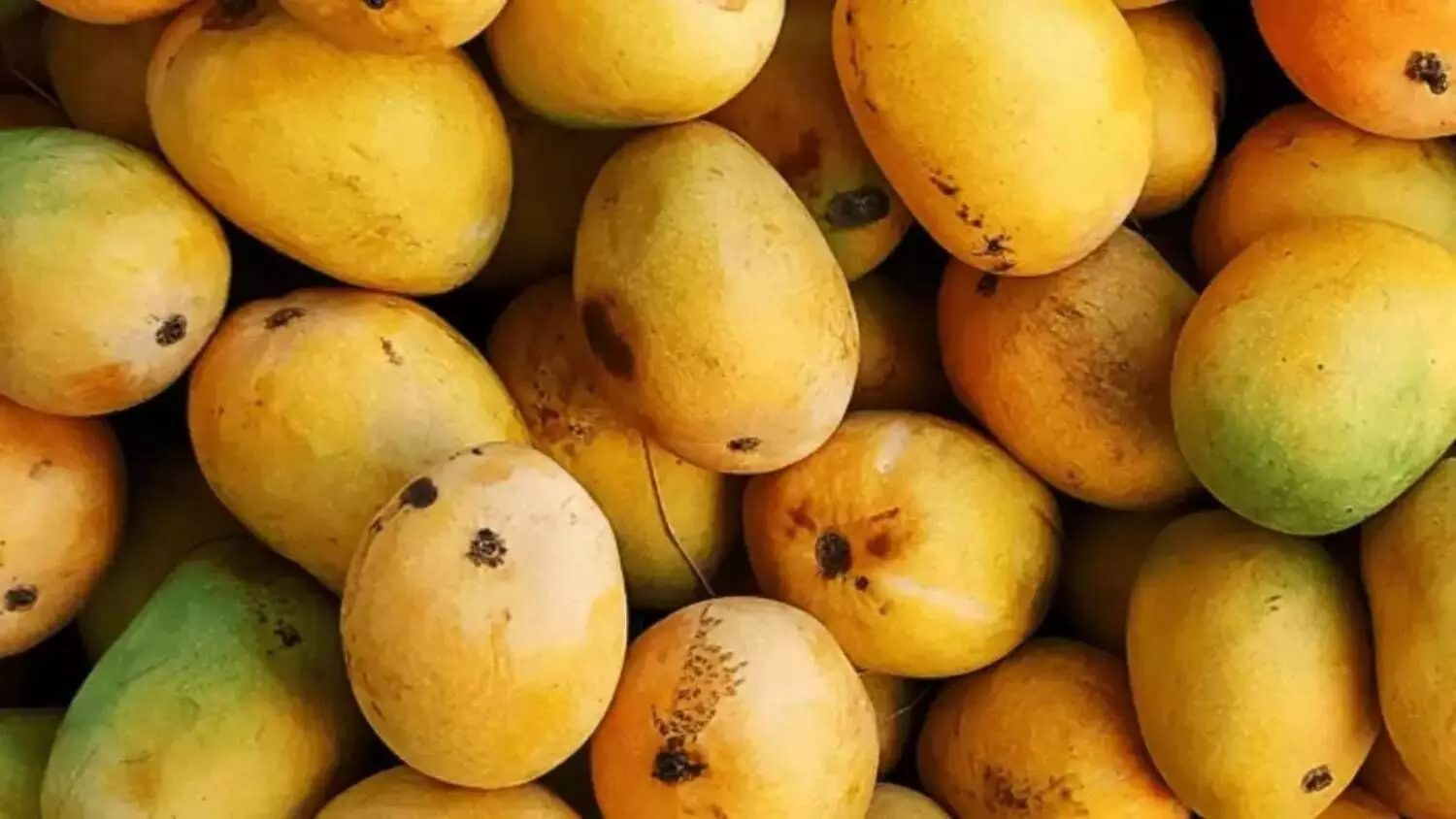 Food Safety and Standards Authority of India Food Safety and Standards Authority of India