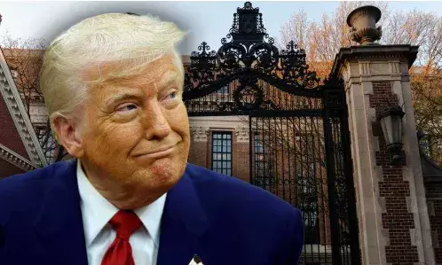 trump vs Harvard