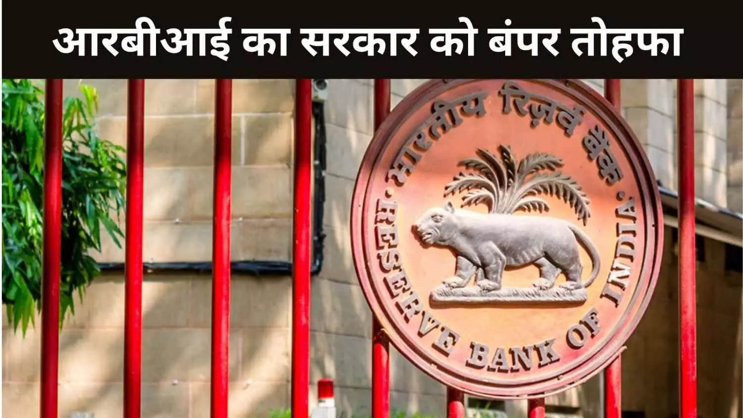 RBI Dividend RBI Dividend