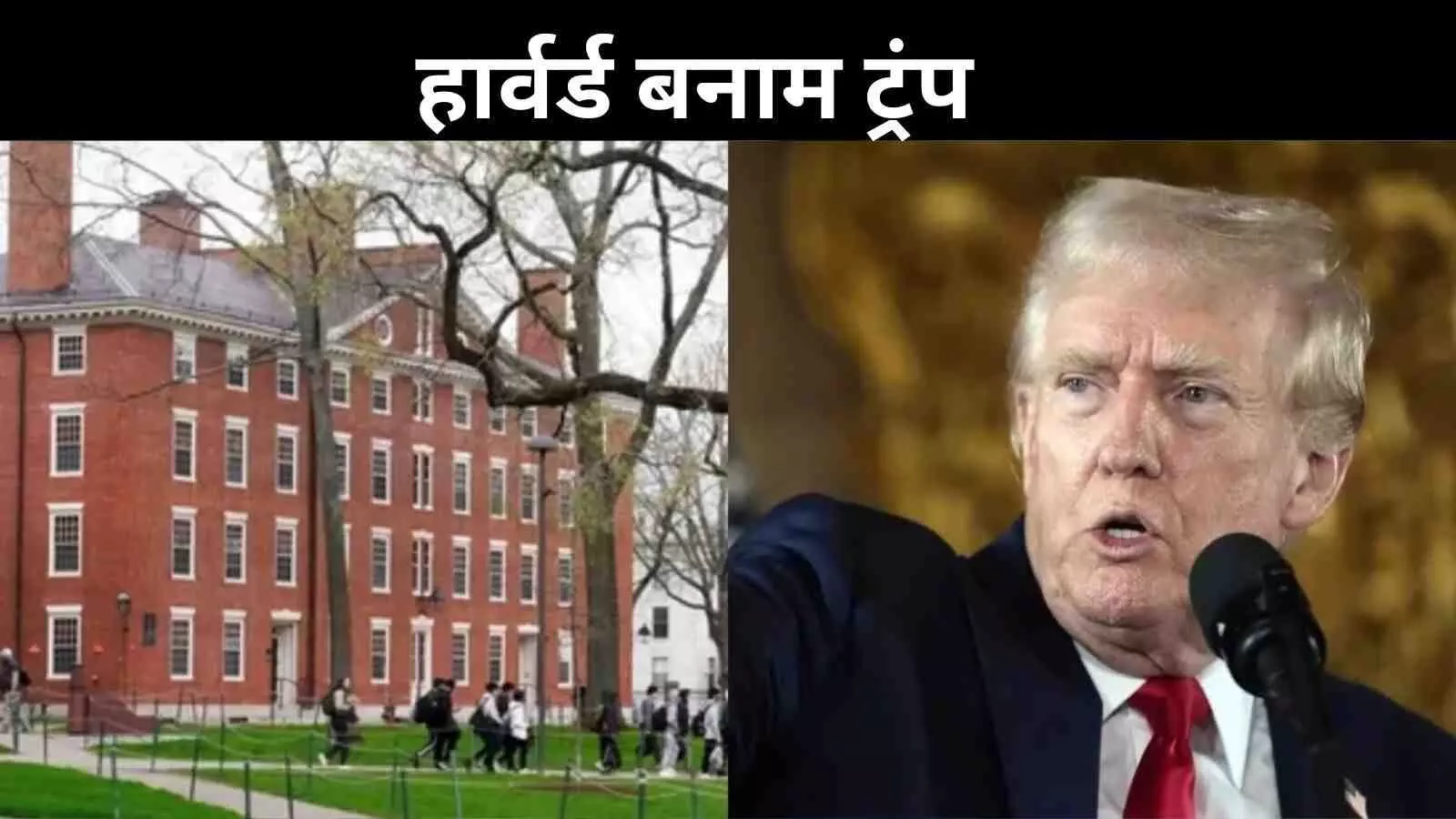 विदेशी छात्रों पर पाबंदी को लेकर हार्वर्ड को राहत, कोर्ट ने ट्रंप सरकार की कार्रवाई पर लगाई रोक विदेशी छात्रों पर पाबंदी को लेकर हार्वर्ड को राहत, कोर्ट ने ट्रंप सरकार की कार्रवाई पर लगाई रोक