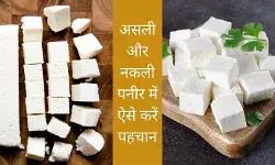 iodine tincture test Paneer identification real paneer fake paneer paneer adulteration