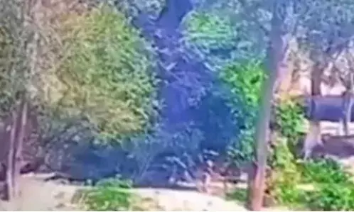bsf video