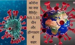 COVID-19 variant, NB.1.81, COVID in China, COVID Hong Kong, US COVID strain, New York City COVID