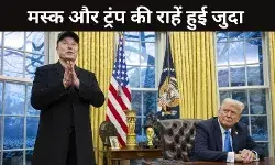 Elon musk Donald trump