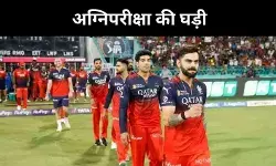 IPL 2025:  किंग्स की वापसी या चैलेंजर्स की चुनौती, क्वालिफायर में बड़ी टक्कर