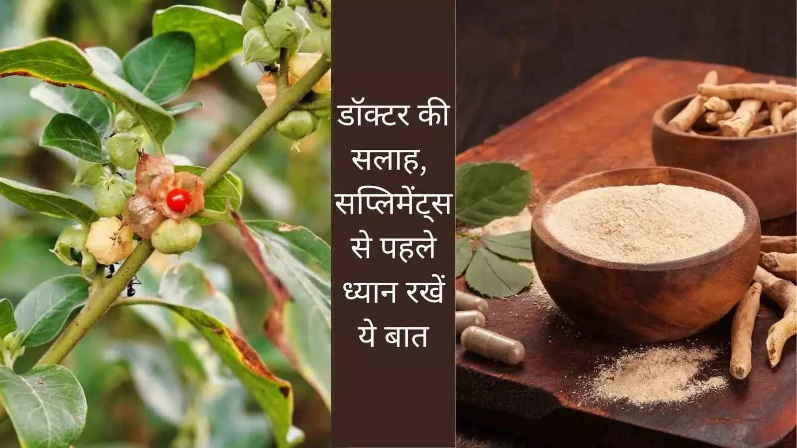 Ashwagandha side effects Liver damage supplements Ayurvedic supplement risks Supplement overdose dangers