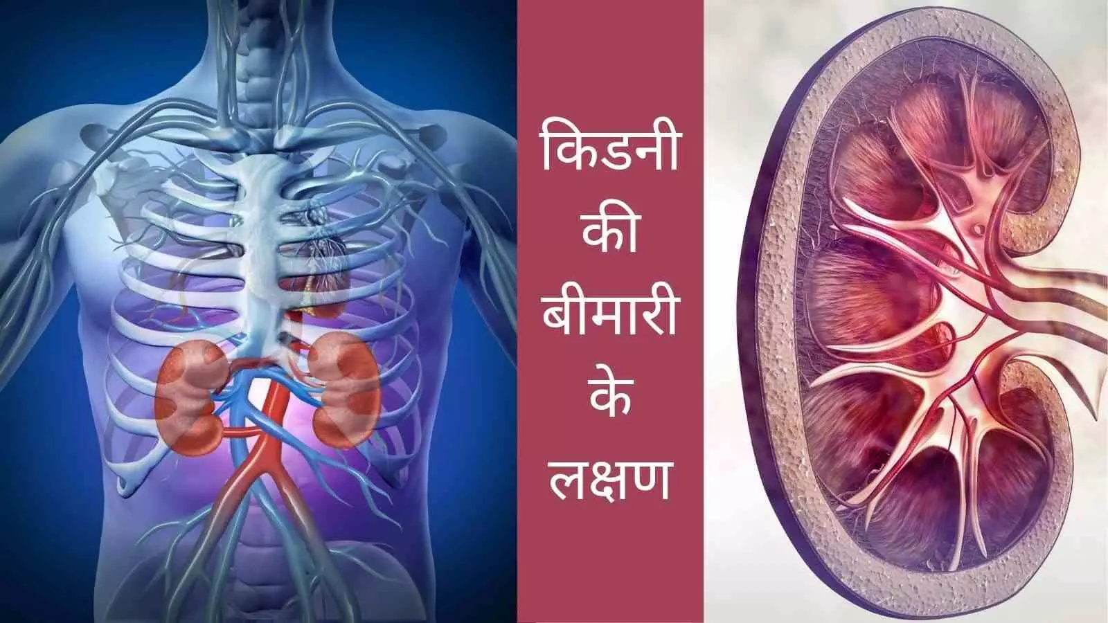 Kidney Disease Symptoms Kidney Failure Fatigue Breathing Issues Blood Pressure Kidney Disease Symptoms Kidney Failure Fatigue Breathing Issues Blood Pressure