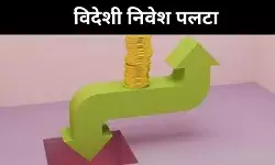FDI गिरावट ने दिखाई असली तस्वीर, विकास की चमक फीकी