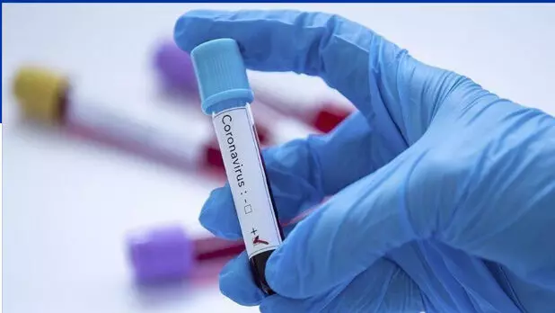 covid 19 cases in delhi covid 19 cases in delhi