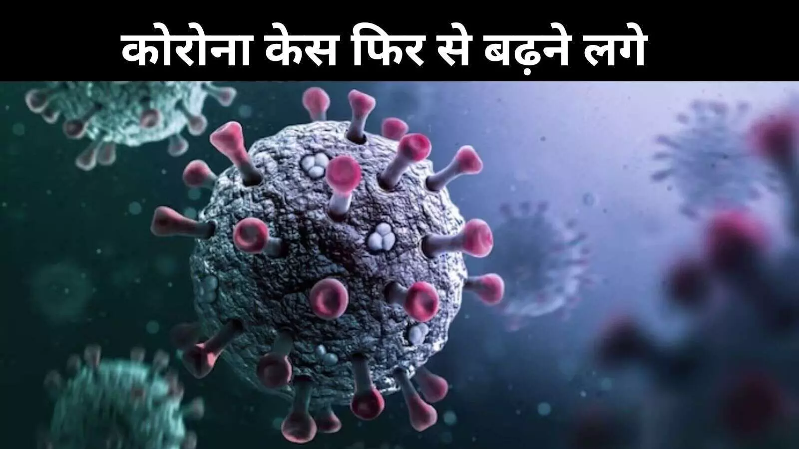 भारत में फिर बढ़े कोरोना केस, 24 घंटे में 685 नए कोविड केस; 4 मौतें भारत में फिर बढ़े कोरोना केस, 24 घंटे में 685 नए कोविड केस; 4 मौतें