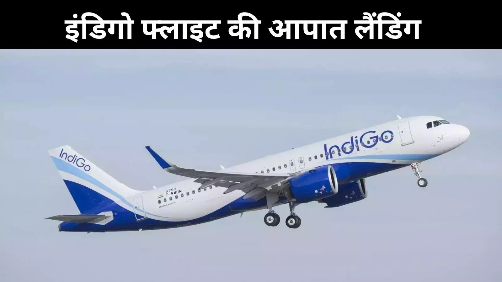 गिद्ध से टकराई फ्लाइट, पटना-रांची इंडिगो विमान की इमरजेंसी लैंडिंग गिद्ध से टकराई फ्लाइट, पटना-रांची इंडिगो विमान की इमरजेंसी लैंडिंग