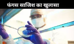 यूएस में निशाने पर खेती-किसानी, चीन से फंगस लाने की साजिश बेनकाब