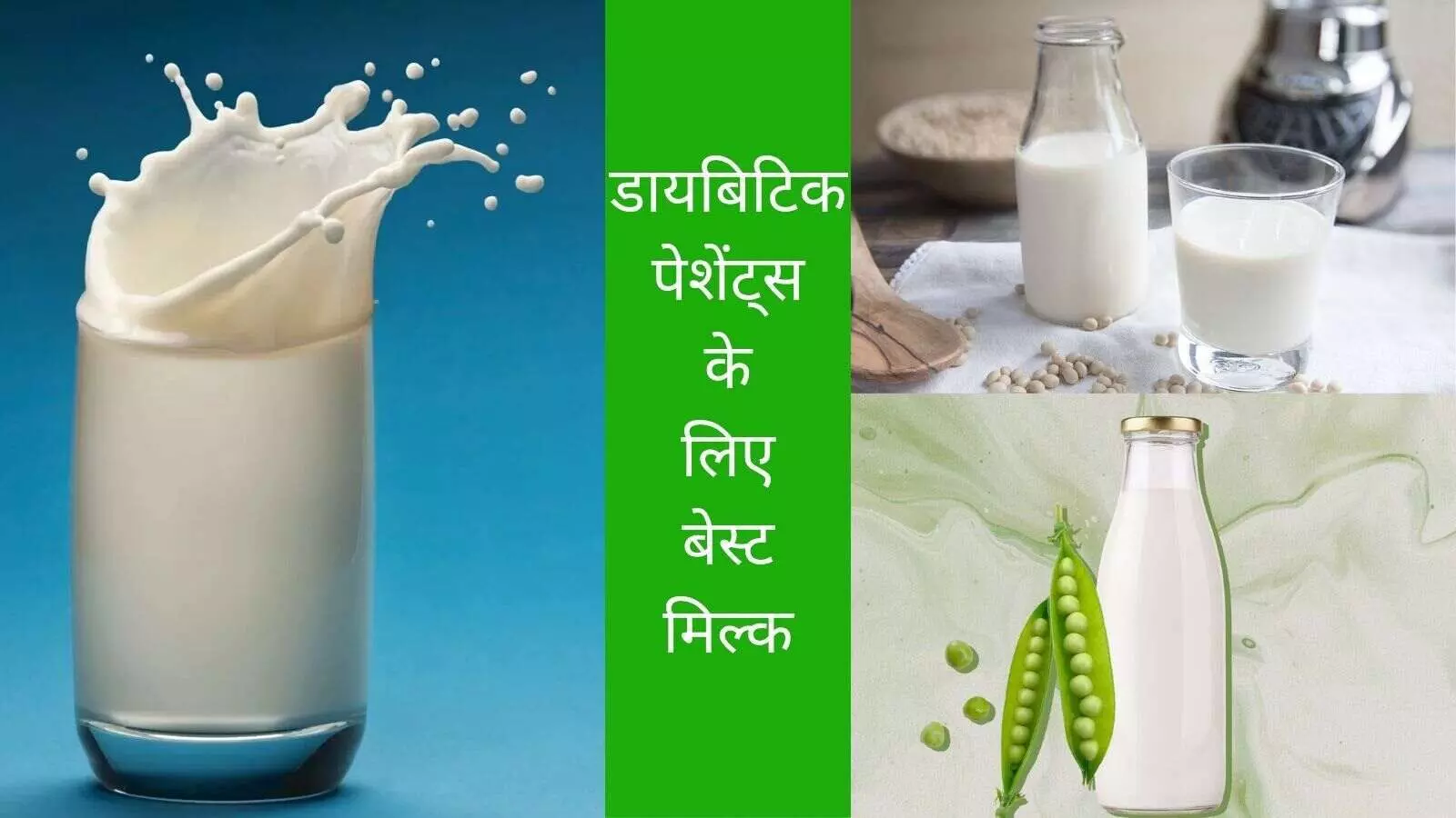 Insulin Control Bone Strength Immunity Sugar Management Insulin Control Bone Strength Immunity Sugar Management