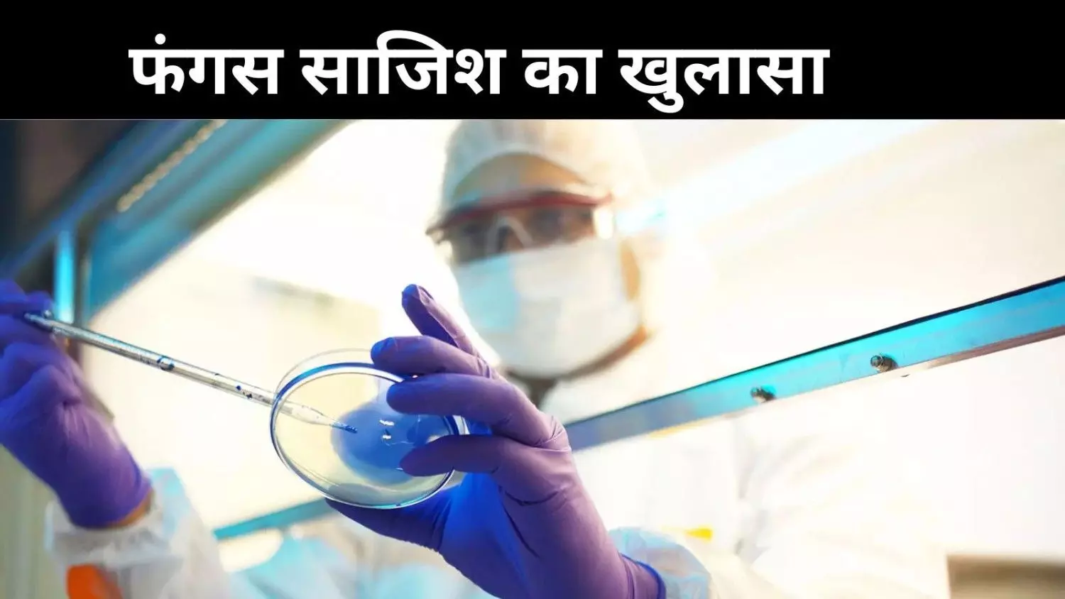 यूएस में निशाने पर खेती-किसानी, चीन से फंगस लाने की साजिश बेनकाब यूएस में निशाने पर खेती-किसानी, चीन से फंगस लाने की साजिश बेनकाब