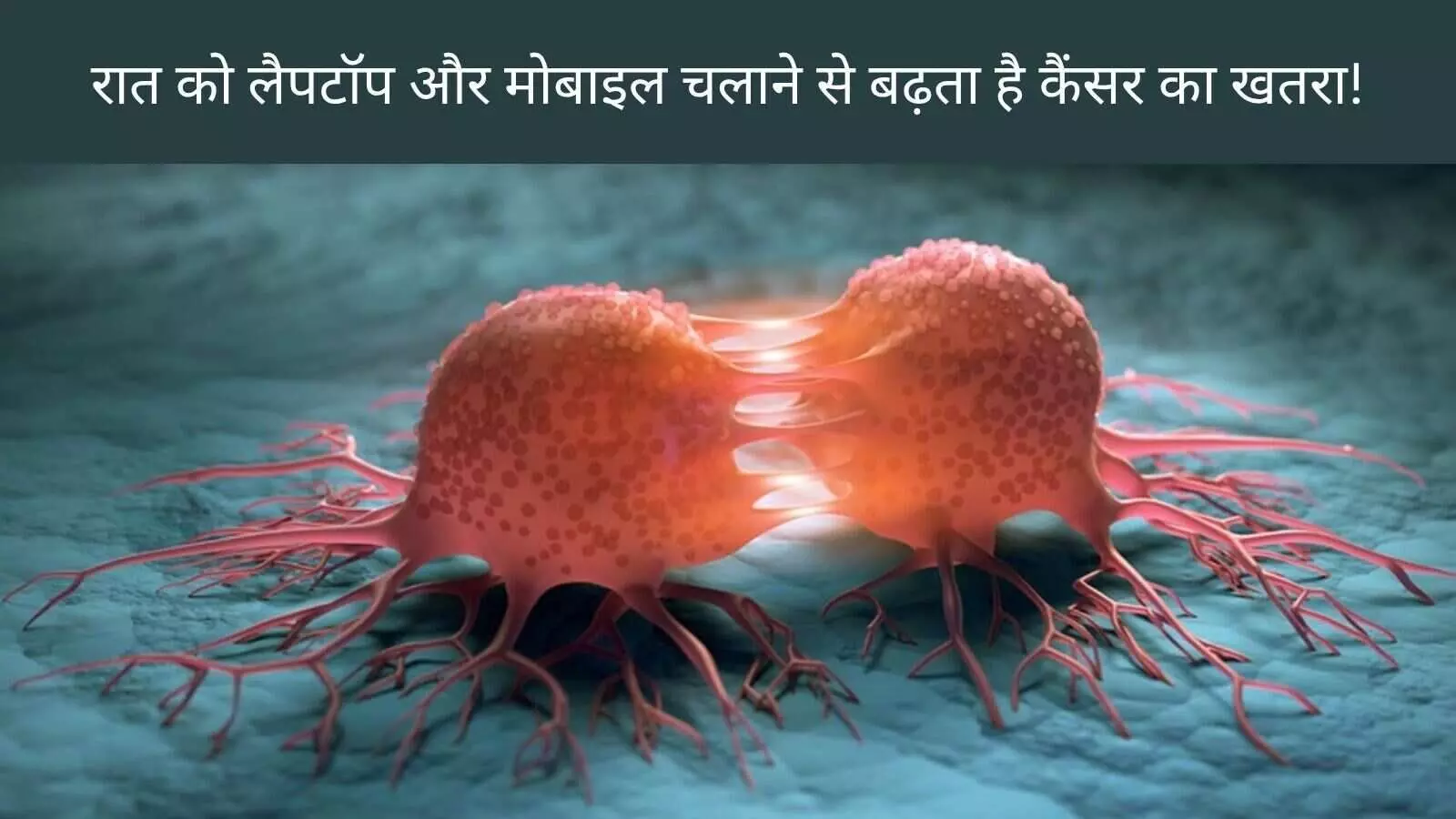 Biological clock and tumor sleep disturbance cancer link Biological clock and tumor sleep disturbance cancer link