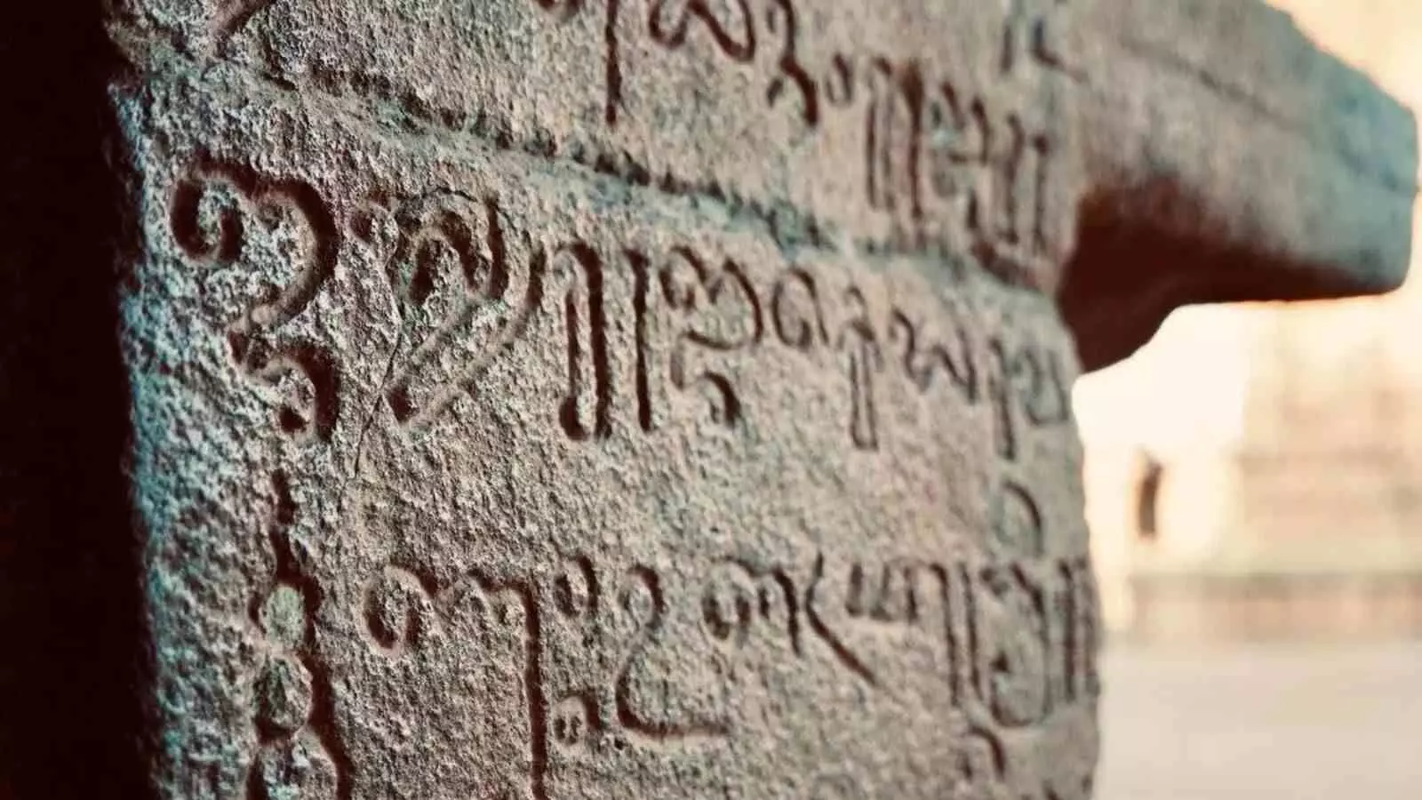 भाषाविदों की राय: तमिल और कन्नड़ हैं बहनें, कोई किसी की मां नहीं भाषाविदों की राय: तमिल और कन्नड़ हैं बहनें, कोई किसी की मां नहीं