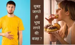 Morning hunger Circadian rhythm Metabolism Ghrelin Cortisol Digestive system Fasting state Energy balance