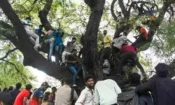 बेंगलुरु भगदड़ खेल उन्माद को बढ़ावा देने वाले उप-राष्ट्रवादी जुनून का मामला है