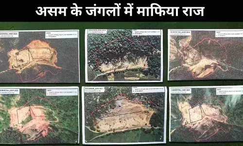 असम के जंगलों में खनन माफिया का बोलबाला; अधिकारी शांत, मुखबिर चुप