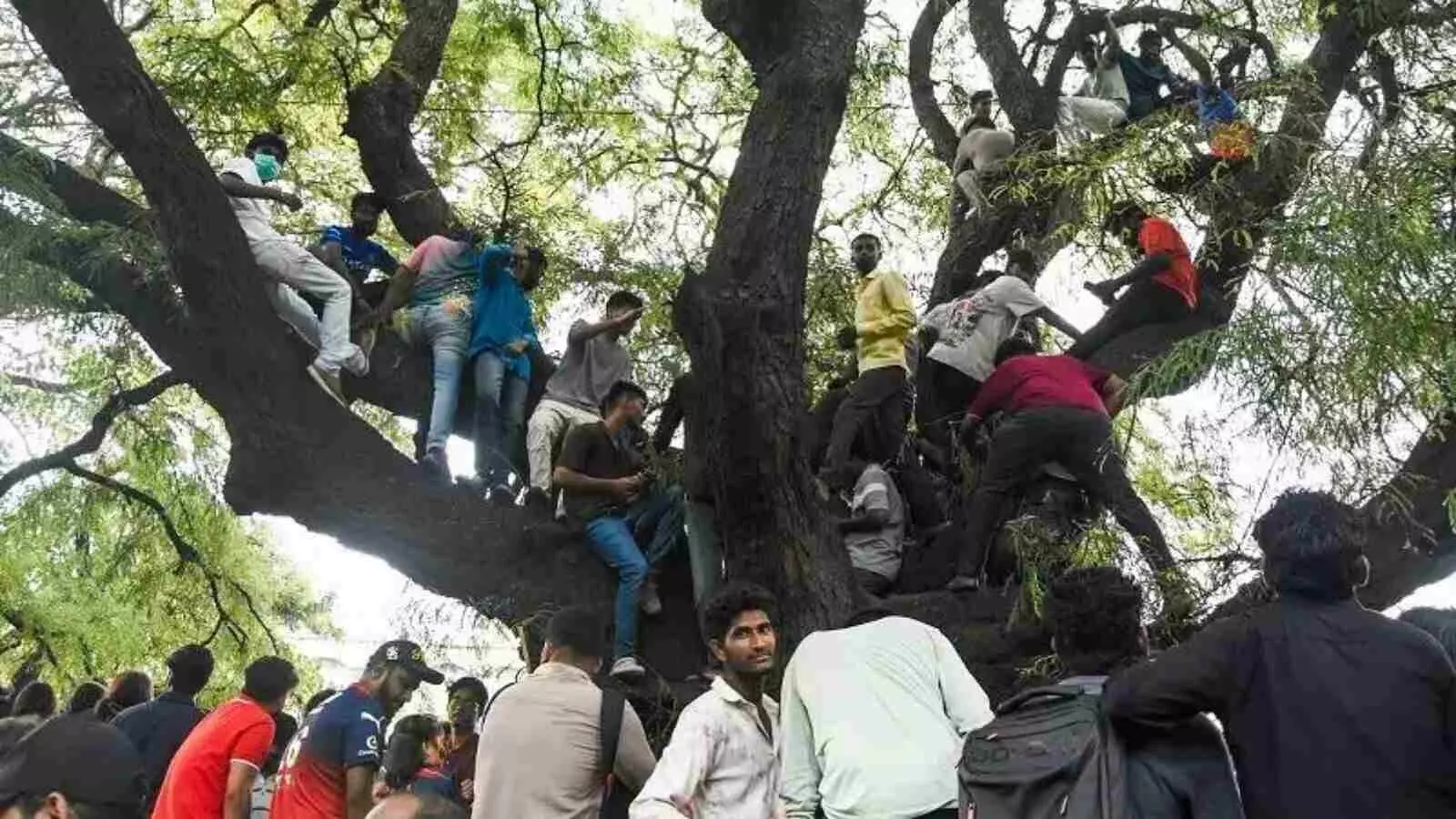 बेंगलुरु भगदड़ खेल उन्माद को बढ़ावा देने वाले उप-राष्ट्रवादी जुनून का मामला है बेंगलुरु भगदड़ खेल उन्माद को बढ़ावा देने वाले उप-राष्ट्रवादी जुनून का मामला है