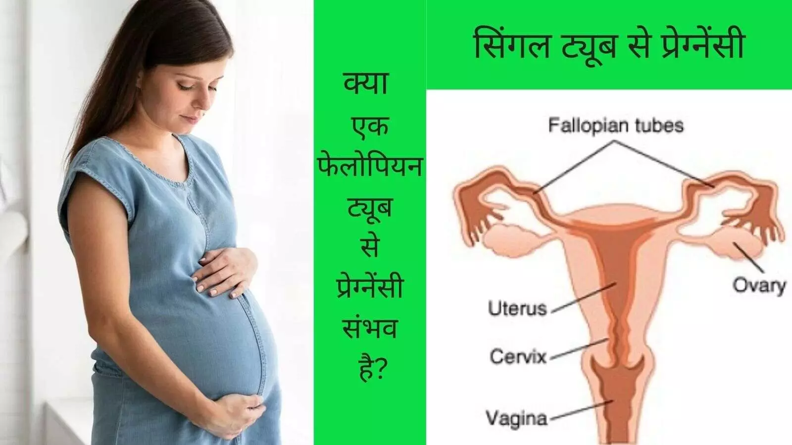 Pregnancy with one fallopian tube Can you get pregnant with one tube Pregnancy with one fallopian tube Can you get pregnant with one tube