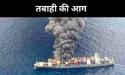 मालवाहक जहाज में सिर्फ आग की बात नहीं, पर्यावरण के लिए ऐसे बना खतरा