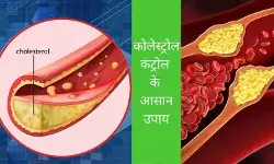 Cholesterol After 50 Plus Age Natural ways to control cholesterol Cholesterol after 50, Healthy heart diet Diet for cholesterol control How to reduce LDL naturally Heart friendly foods