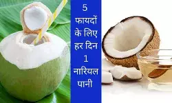 Benefits of coconut water in summer coconut meat health benefits dehydration prevention