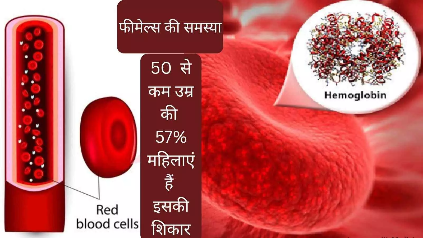 What is hemoglobin Hemoglobin deficiency How to increase hemoglobin Symptoms of anemia What is hemoglobin Hemoglobin deficiency How to increase hemoglobin Symptoms of anemia