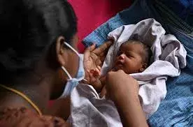 india fertility rate