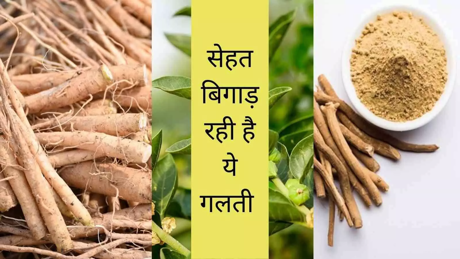 common herbal supplements stress liver toxicity common herbal supplements stress liver toxicity