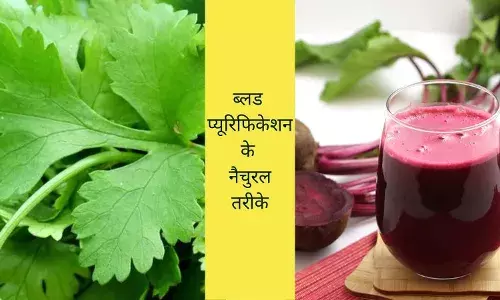natural blood purification detox blood naturally foods to purify blood garlic benefits for blood