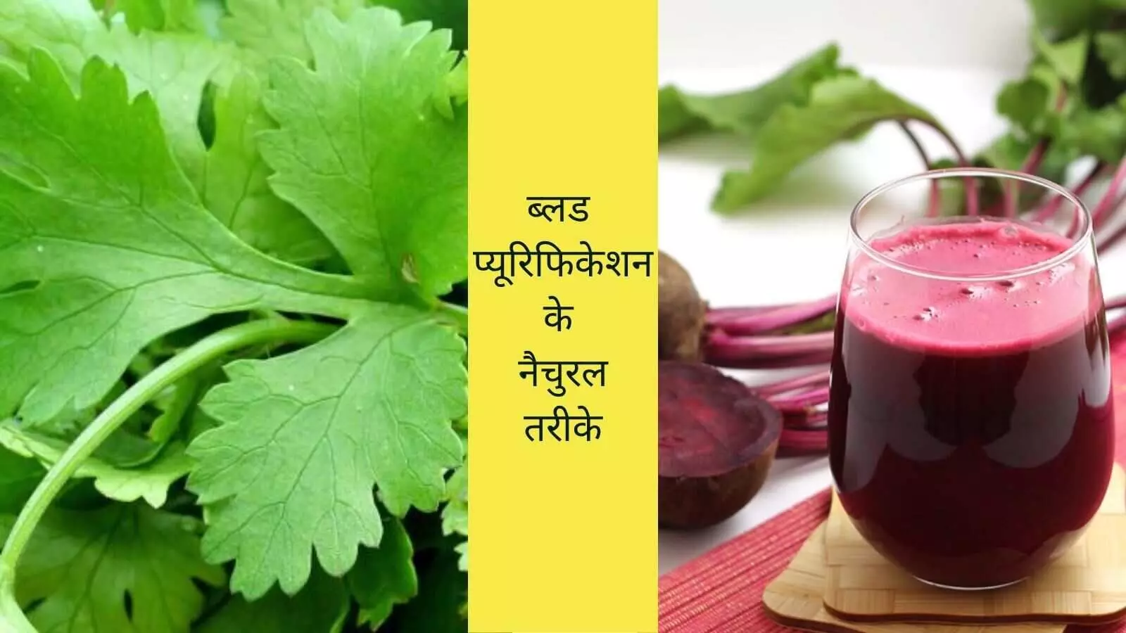 natural blood purification detox blood naturally foods to purify blood garlic benefits for blood natural blood purification detox blood naturally foods to purify blood garlic benefits for blood