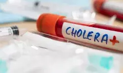ओडिशा में हैजा का कहर, 6 जिलों में फैली महामारी; अब तक 7 की मौत