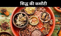 बिना प्रमाण के इलाज? तमिलनाडु में सिद्ध क्लिनिक पर उठे सवाल