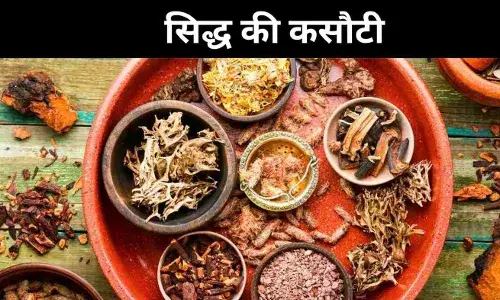 बिना प्रमाण के इलाज? तमिलनाडु में सिद्ध क्लिनिक पर उठे सवाल