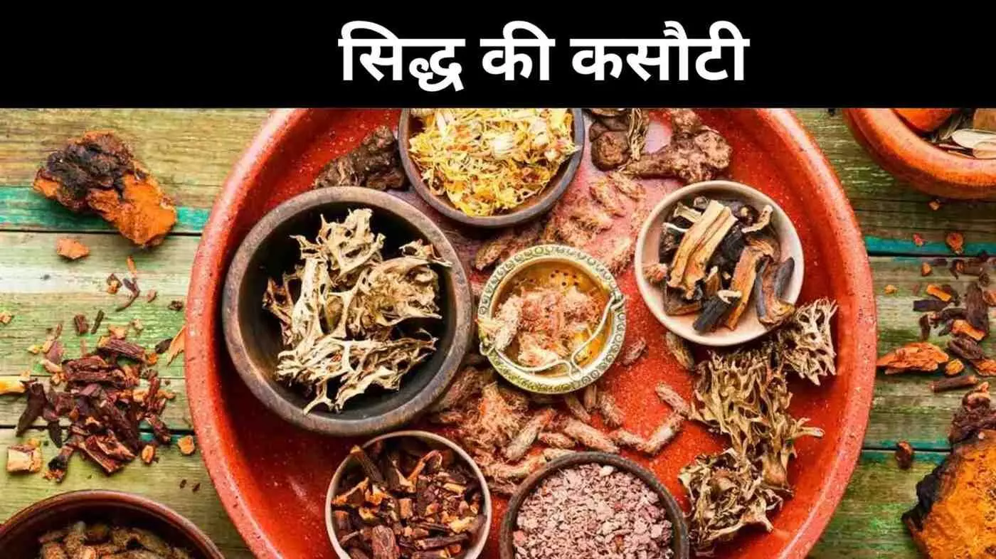 बिना प्रमाण के इलाज? तमिलनाडु में सिद्ध क्लिनिक पर उठे सवाल बिना प्रमाण के इलाज? तमिलनाडु में सिद्ध क्लिनिक पर उठे सवाल
