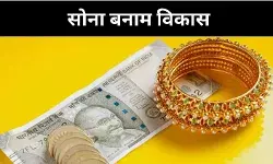 बढ़ती गोल्ड इकोनॉमी, आर्थिक विकास या विनाश का रास्ता?