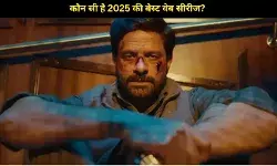 न ‘पाताल लोक 2’ और न ही ‘ब्लैक वारंट’ ये है 2025 की बेस्ट भारतीय वेब सीरीज