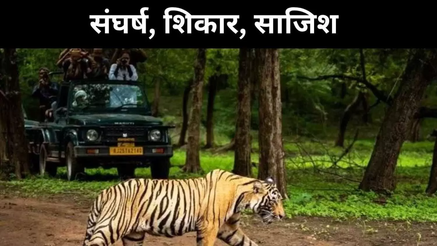 शिकारी नहीं, अब किसान बाघ के दुश्मन क्यों बन रहे हैं?