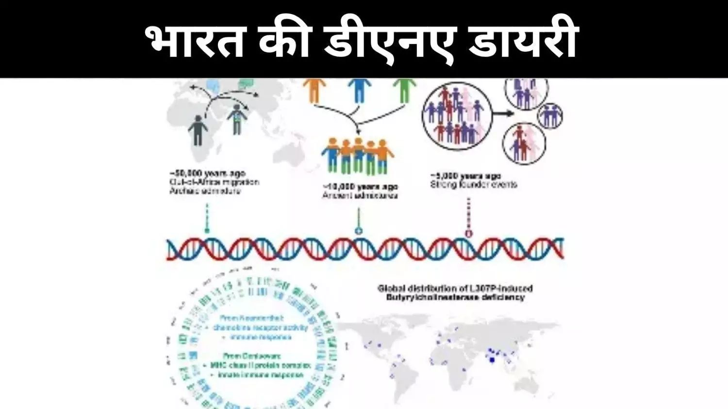 नस्ल, जाति और बीमारी, भारतीय जीन का अदृश्य लेखा-जोखा